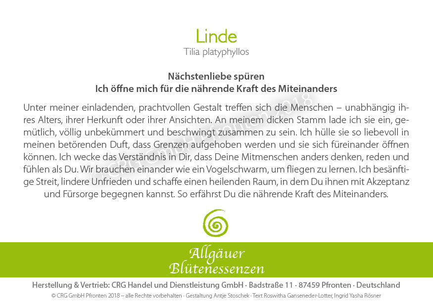 Blütenessenz Linde - Nächstenliebe spüren - Dianas Klosterlädchen