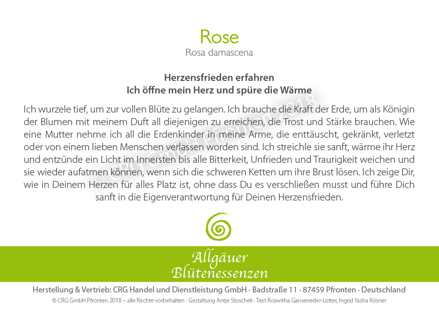 Blütenessenz Rose - Herzensfrieden erfahren - Dianas Klosterlädchen