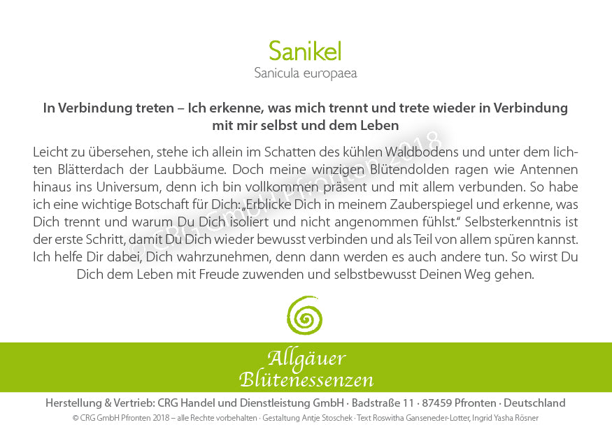 Blütenessenz Sanikel - In Verbindung treten - Dianas Klosterlädchen