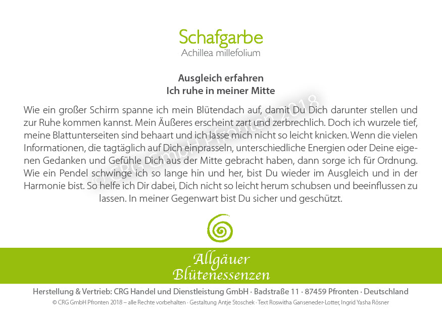 Blütenessenz Schafgarbe - Ausgleich spüren - Dianas Klosterlädchen