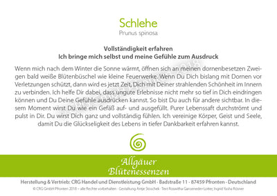 Blütenessenz Schlehe - Vollständigkeit erfahren - Dianas Klosterlädchen