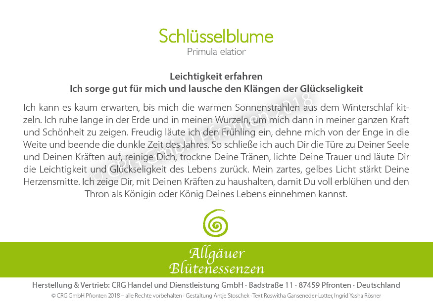 Blütenessenz Schlüsselblume - Leichtigkeit erfahren - Dianas Klosterlädchen
