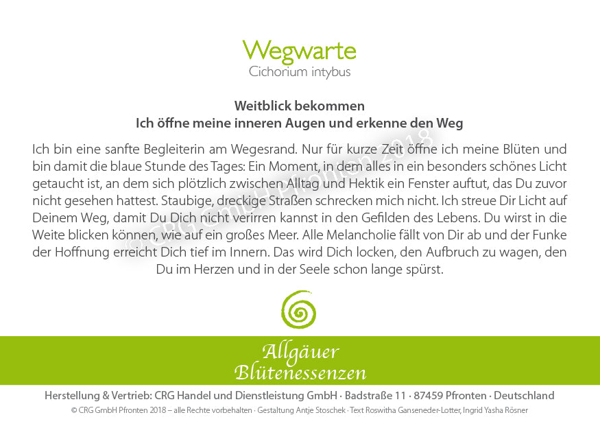 Blütenessenz Wegwarte - Weitblick bekommen - Dianas Klosterlädchen