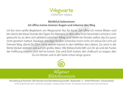 Blütenessenz Wegwarte - Weitblick bekommen - Dianas Klosterlädchen