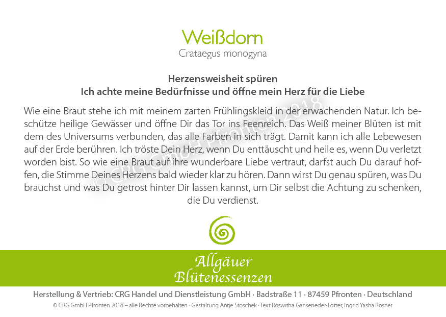 Blütenessenz Weißdorn - Herzensweisheit spüren - Dianas Klosterlädchen