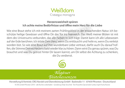 Blütenessenz Weißdorn - Herzensweisheit spüren - Dianas Klosterlädchen
