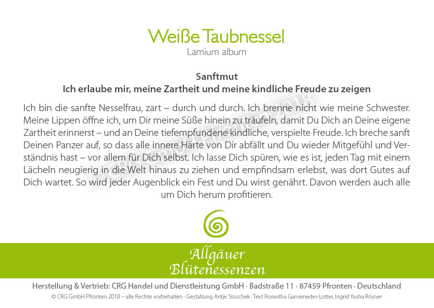 Blütenessenz Weiße Taubnessel - Sanftmut zulassen - Dianas Klosterlädchen