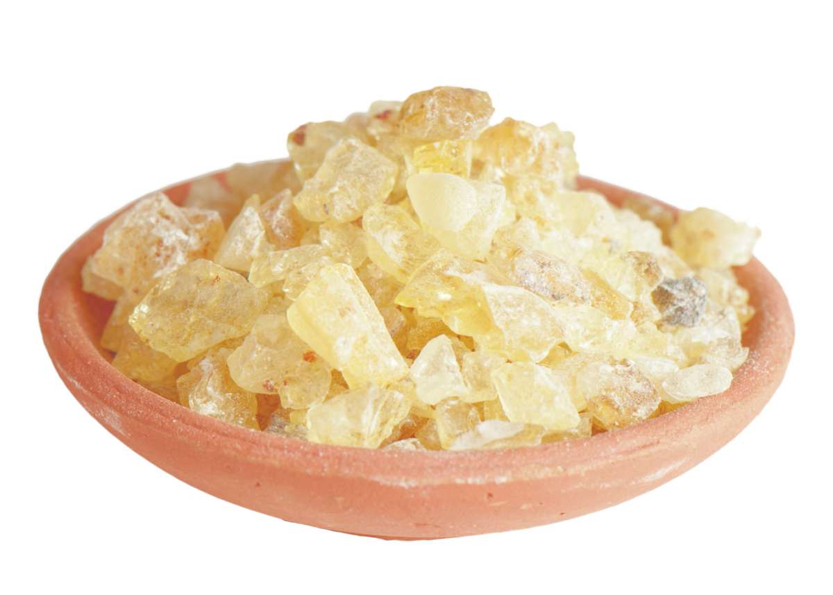 Copal Hell - Räucherwerk in Tüten 50 g Tütchen - Dianas Klosterlädchen