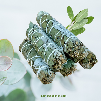 Eukalyptus & Weißer Salbei Bündel 10 cm - Dianas Klosterlädchen