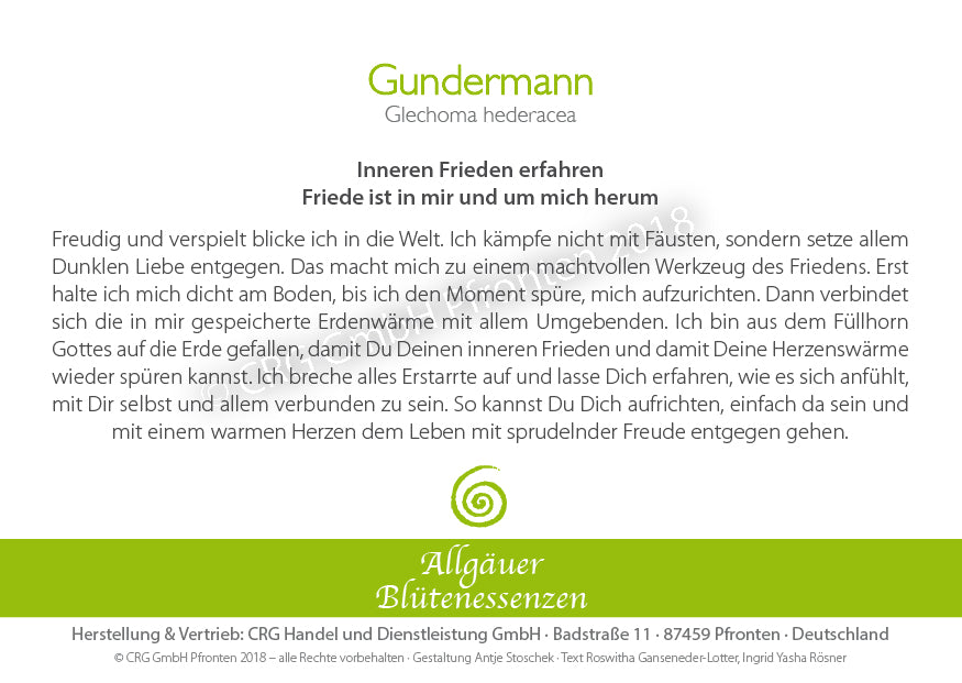 Gundermann 50ml | Allgäuer Blütenessenz   @klosterlaedchen.com