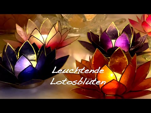 Lotus Teelichthalter lila goldfarbig 13,5 cm