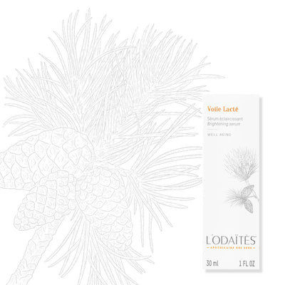 VOILE LACTÉ | Aufhellendes Feuchtigkeitsserum 30 ml - Dianas Klosterlädchen