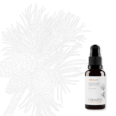 VOILE LACTÉ | Aufhellendes Feuchtigkeitsserum 30 ml - Dianas Klosterlädchen