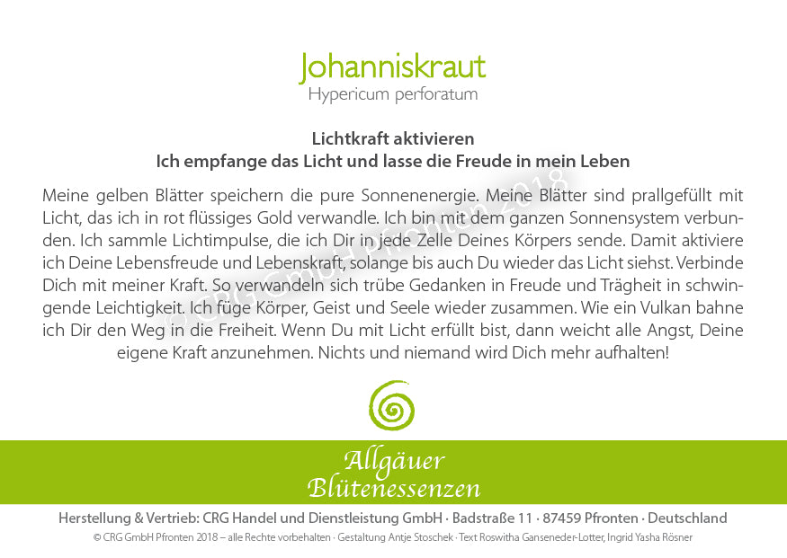 Johanniskraut 50 ml | Allgäuer Blütenessenz @klosterlaedchen