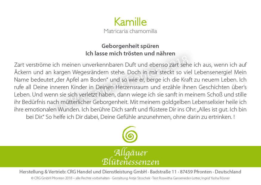 Kamille 50ml | Allgäuer Blütenessenz @klosterlaedchen