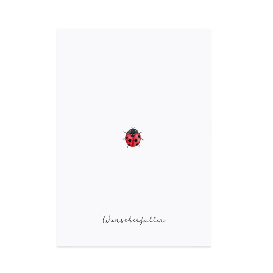 Marienkäfer Postkarte - Dianas Klosterlädchen