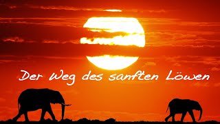 Der Weg des sanften Löwen | Roman - Dianas Klosterlädchen