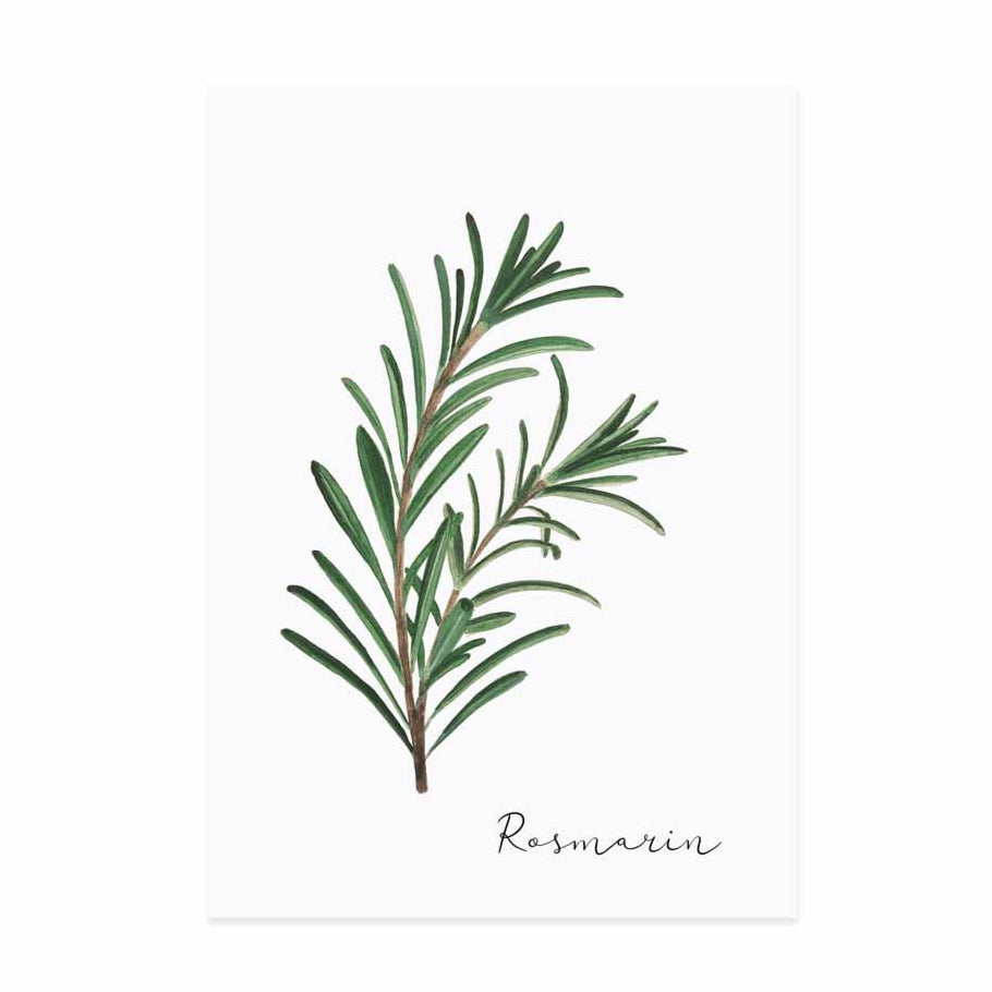Postkarte Rosmarin - Dianas Klosterlädchen