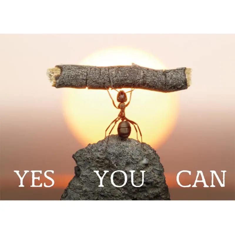 Postkarte Yes you can - Dianas Klosterlädchen
