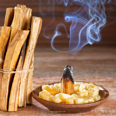 Premium Palo Santo Räucher-Holzstäbe | 2 Stück - Dianas Klosterlädchen