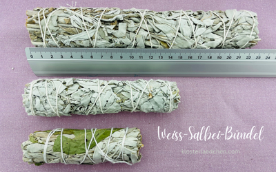 Weißer Salbei Bündel mit ca. 15 cm Länge - Dianas Klosterlädchen