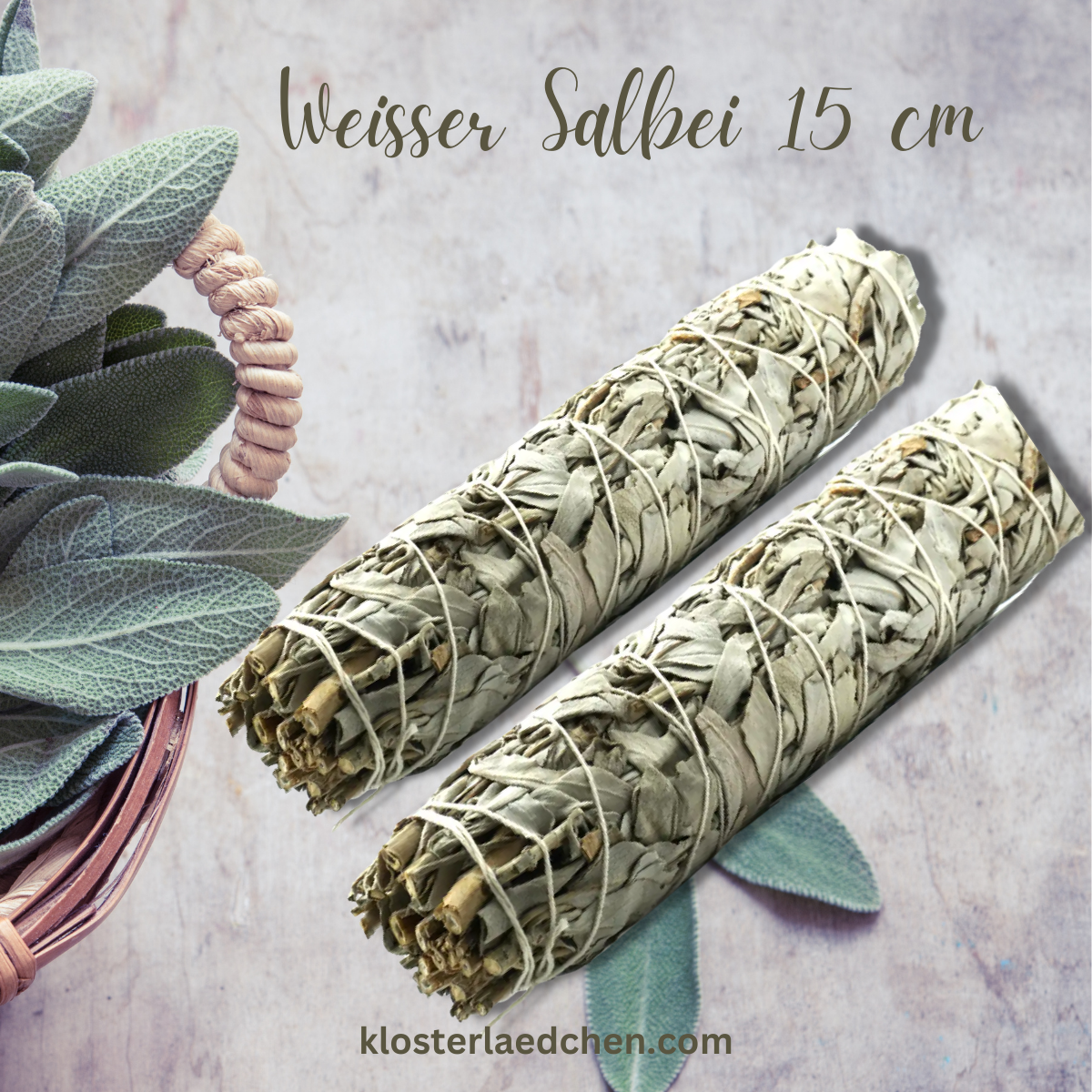 Weißer Salbei Bündel mit ca. 15 cm Länge - Dianas Klosterlädchen