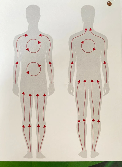 Wellfit Massagebürste - Trocken-Bürstenmassage - Dianas Klosterlädchen
