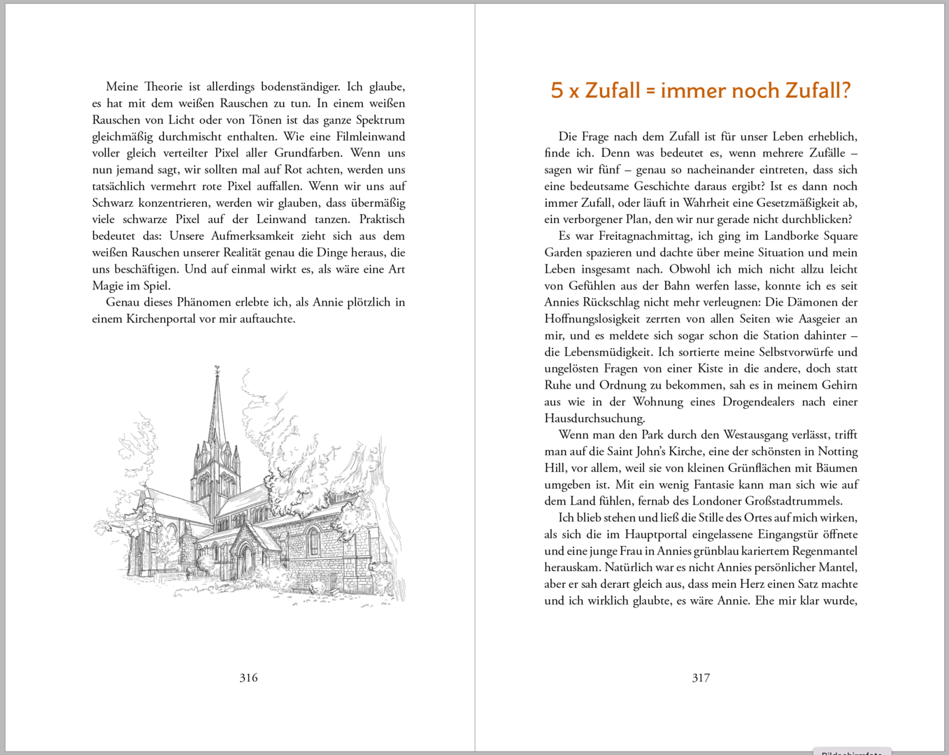 Winston Flash und der Sinn des Lebens | Roman - Dianas Klosterlädchen