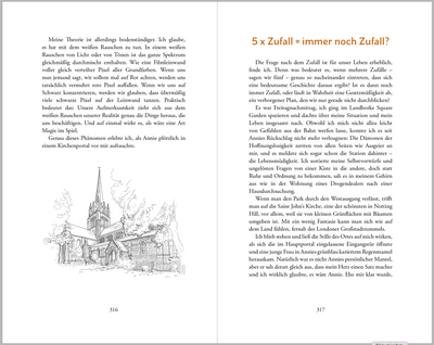 Winston Flash und der Sinn des Lebens | Roman - Dianas Klosterlädchen